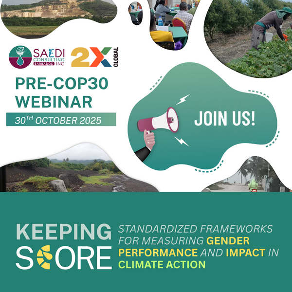 SAEDI Consulting Barbados Inc: Keeping Score: Standardized frameworks for measuring gender performance and impact in climate action